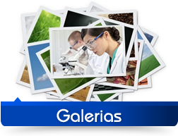 Galerias galerias